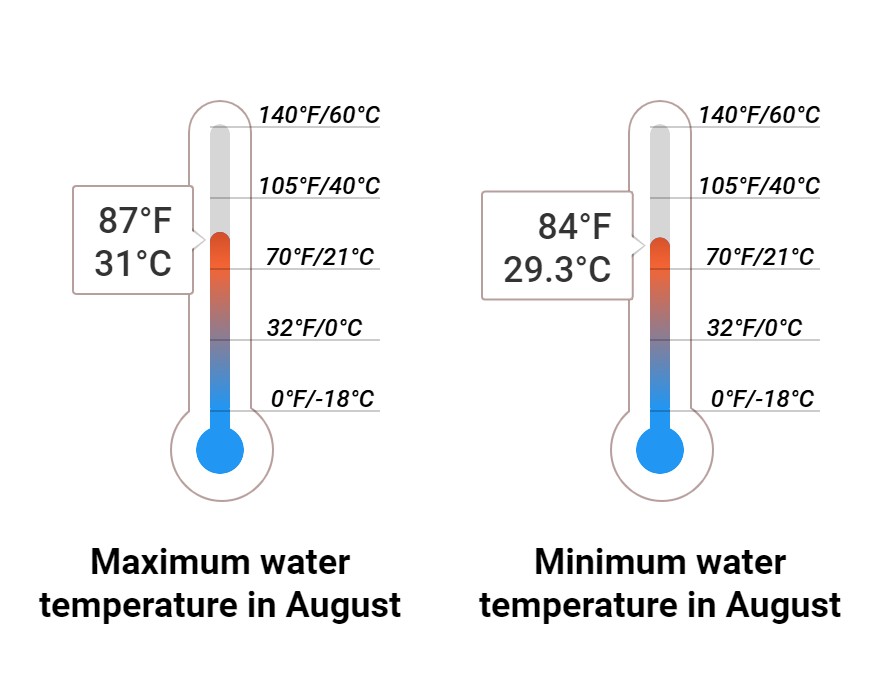 Average Sea temperature